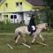 2013-06-22-fjordturnier_0133