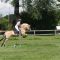 2013-06-22-fjordturnier_0166
