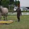 2013-06-23-fjordturnier_0625