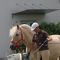2014-06-22-bap_018