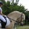 2015-06-26-gehorsam106