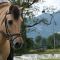 2015-06-26-gehorsam212