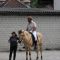 2015-06-26-gehorsam269