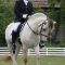 2017-06-24-gehorsam045