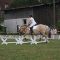 2017-06-24-gehorsam293