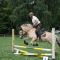 2017-06-24-springen042